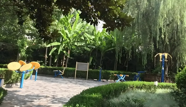 深圳办理入户手续所需资料_17年后，陈乔恩阮经天节目首谈假戏真做，阮经天：当年女友吃醋了 天节目首谈之下相比